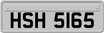 HSH5165