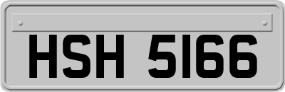 HSH5166