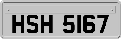 HSH5167