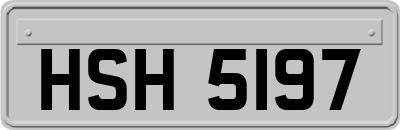 HSH5197