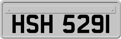 HSH5291
