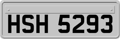 HSH5293