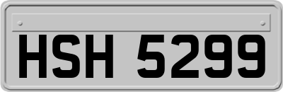 HSH5299