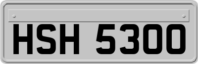 HSH5300