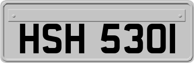 HSH5301