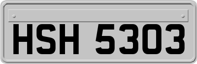 HSH5303