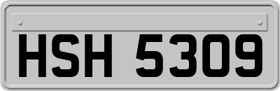 HSH5309
