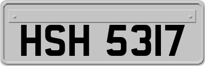 HSH5317