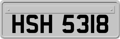 HSH5318