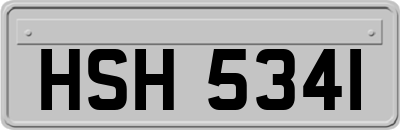 HSH5341