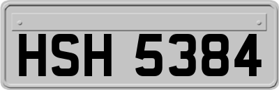 HSH5384