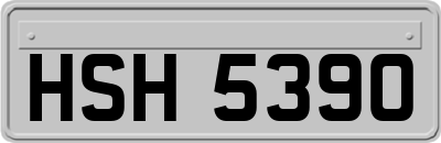 HSH5390