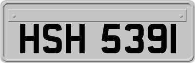 HSH5391