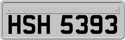 HSH5393