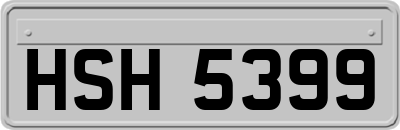 HSH5399