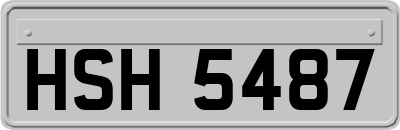 HSH5487