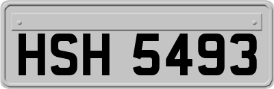 HSH5493
