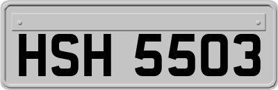HSH5503