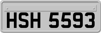 HSH5593