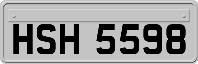HSH5598