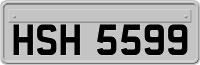 HSH5599