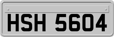 HSH5604