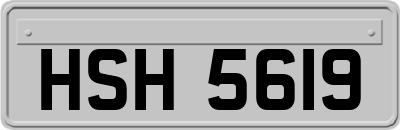 HSH5619