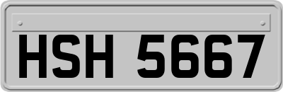 HSH5667