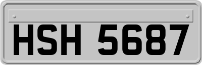 HSH5687