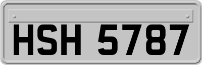 HSH5787