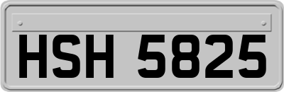 HSH5825