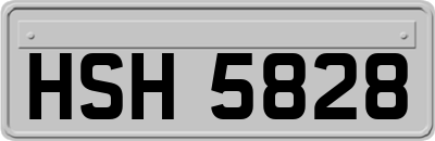 HSH5828