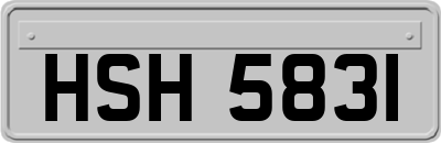 HSH5831