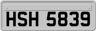 HSH5839