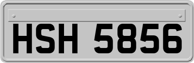 HSH5856