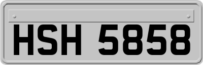 HSH5858