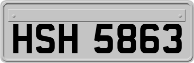 HSH5863