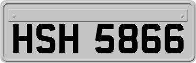 HSH5866