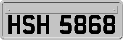 HSH5868