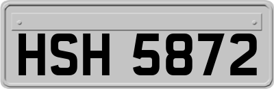 HSH5872