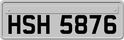 HSH5876