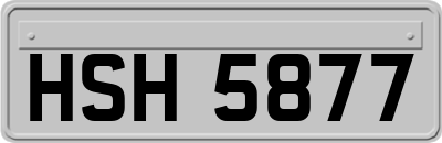 HSH5877