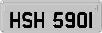 HSH5901