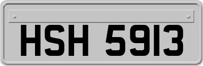 HSH5913
