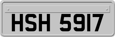 HSH5917