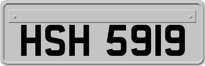 HSH5919