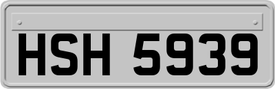 HSH5939