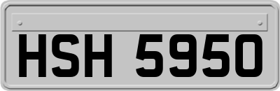HSH5950