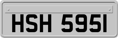 HSH5951