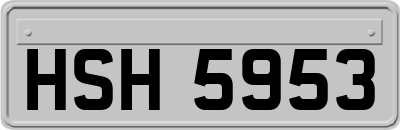 HSH5953